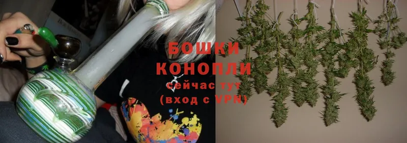 Бошки марихуана OG Kush  kraken tor  Андреаполь 